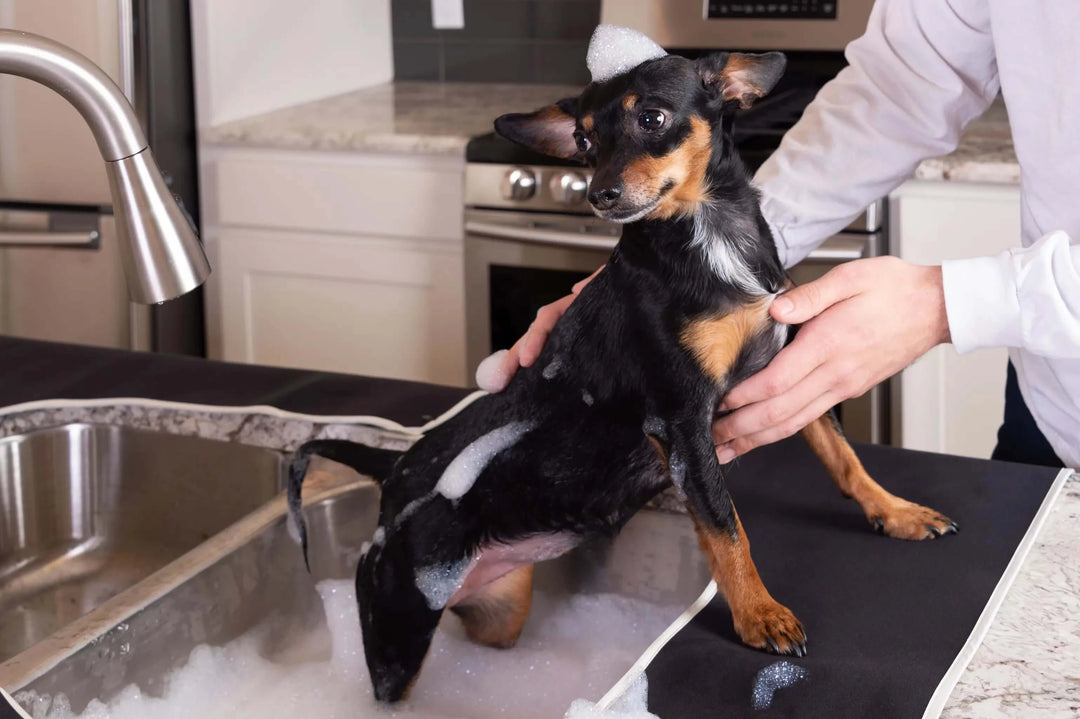 Perfect Sink Mat and Dog Bath Accessories - Splashpad